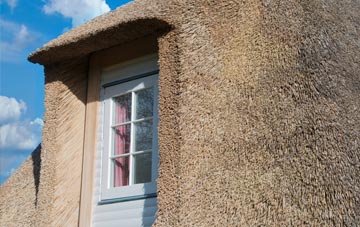 Hillyfields thatch roof disadvantages