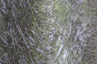 Hillyfields fibreglass roof work